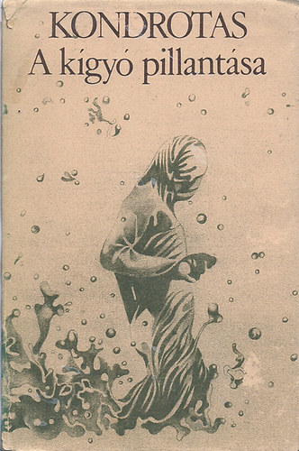 Saulius Tomas Kondrotas - A kígyó pillantása
