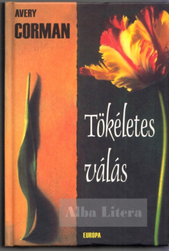 Avery Corman - Tkletes vls