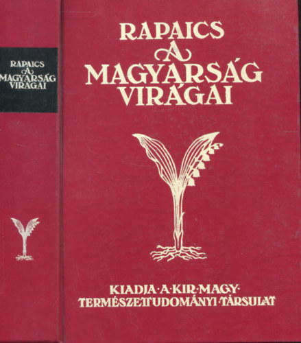 Rapaics Raymund Dr. - A magyars�g vir�gai (A vir�gkultusz t�rt�nete)