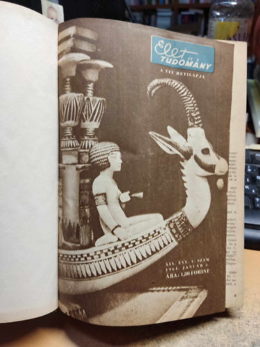 Kocsis Ferenc - �let �s Tudom�ny 1964 �vfolyamb�l 16 db lapsz�m