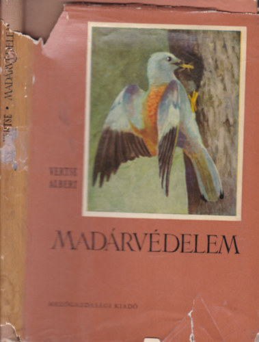 Vertse Albert - Madrvdelem (I. kiads)- Veznyi Elemr rajzaival