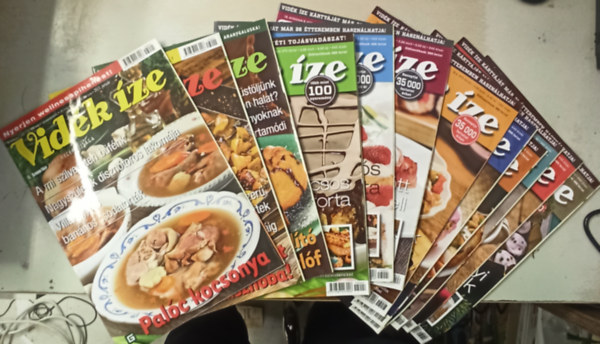 Csonka Ilonka fszerkeszt - Vidki zek 2013 vfolyam 1-12 szm (teljes)