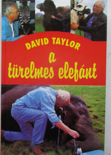 David Taylor - A trelmes elefnt