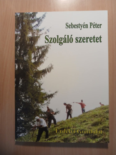 Sebestyén Péter - Szolgáló szeretet