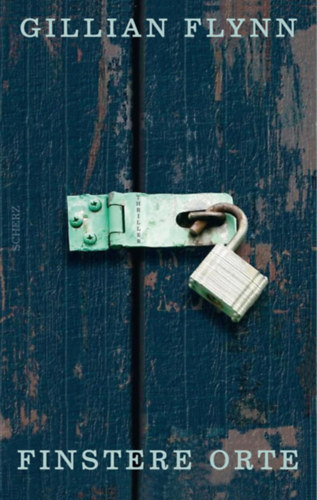 Gillian Flynn - Finstere Orte