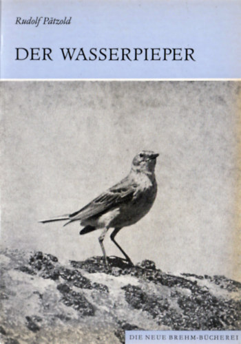Rudolf Pätzold - Der Wasserpieper (Anthus spinoletta)