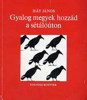 H�y J�nos - Gyalog megyek hozz�d a s�t�l��ton