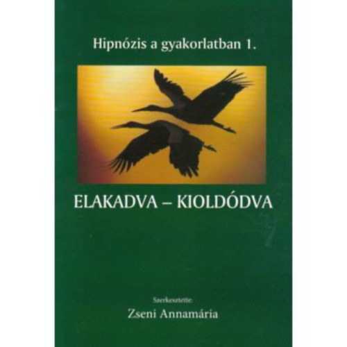 Zseni Annamária - Elakadva - kioldódva