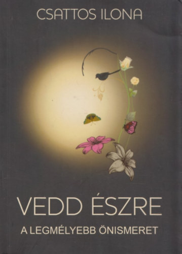 Csattos Ilona - Vedd �szre