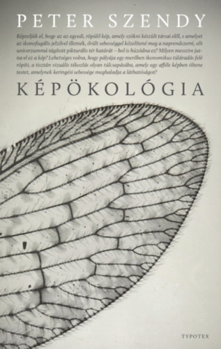 Peter Szendy - K�p�kol�gia