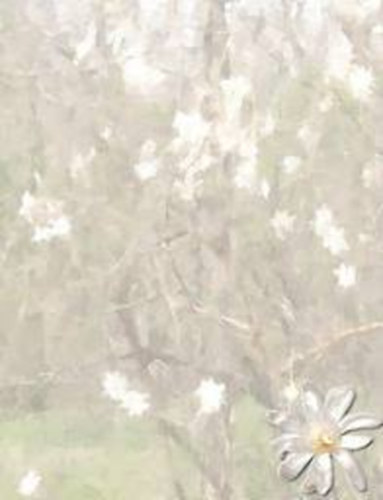 Ged�nyi Mih�ly - Tibeti kankalin - Pap�rkos�r, b�rt�njegyzetek, gyerekkor