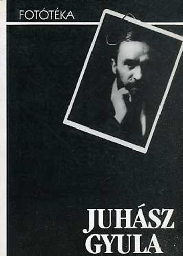 Tasi Jzsef  (szerk) - Juhsz Gyula (Fottka 5.) Fekete album szrke erdejben