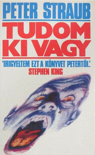 Peter Straub - Tudom, ki vagy
