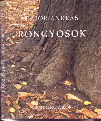 Pajor Andrs - Rongyosok