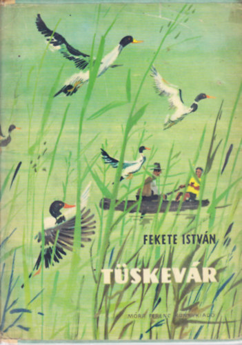 Fekete István - Tüskevár (Szecskó Tamás rajzaival)