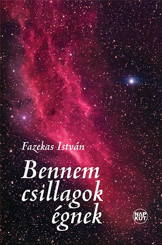 Fazekas Istv�n - Bennem csillagok �gnek