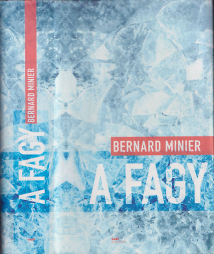 Bernard Minier - A fagy