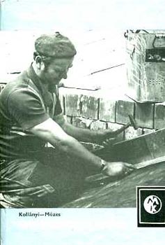 Koll�nyi; M�zes - �p�letb�dogos munka