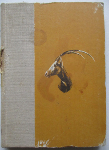 Széchenyi Zsigmond - Hengergő homok