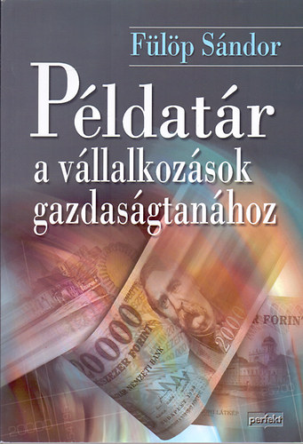 Flp Sndor - Pldatr a vllalkozsok gazdasgtanhoz