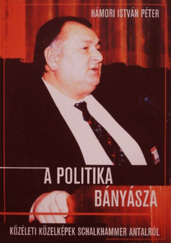 Hámori István Péter - A politika bányásza