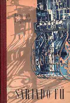 Remenyik Zsigmond - Sarjad f