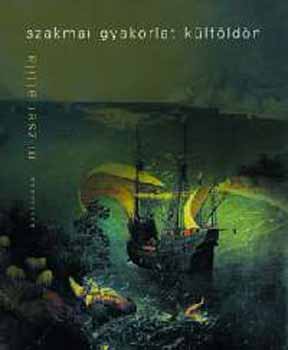 Mizser Attila - Szakmai gyakorlat k�lf�ld�n