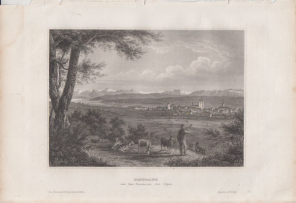 Constanz (Konstanz, s az Alpok) (Nmetorszg, Eurpa) (16x23,5 cm lapmret eredeti aclmetszet, 1856-bl)