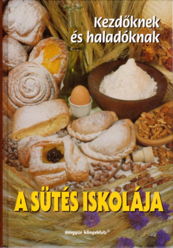 Vgh Jlia  (szerk.) - A sts iskolja (Kezdknek s haladknak)