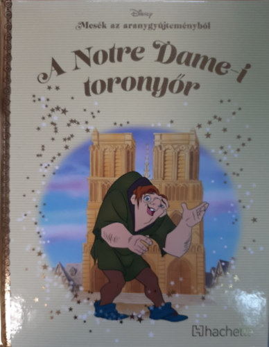 A Notre Dame-i toronyr