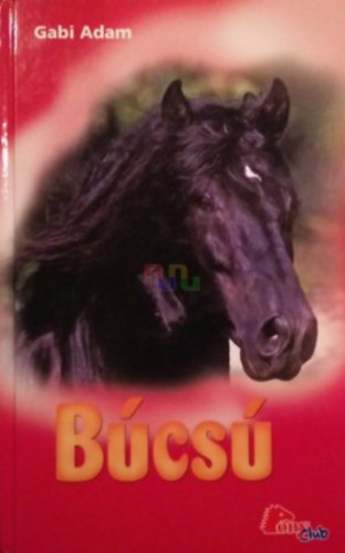 Gabi Adam - Bcs (PonyClub)
