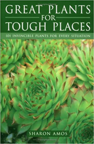 Amos Sharon -Wooster Steve - Great Plants for Tough Places