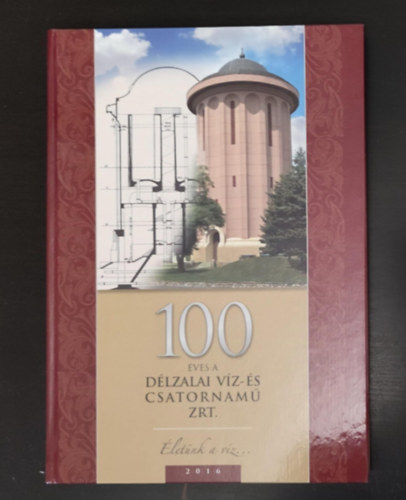 Rst Jnos - 100 ves a Dlzalai Vz- s Csatornam ZRT. (letnk a vz)