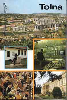 Szab� G�za  (szerk.) - Tolna (Magyarorsz�g megy�i)