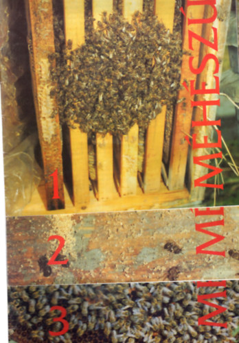 Nikovitz Antal  (szerk.) Nagy Csaba (szerk.) - M�h�sz �js�g  1997. X. �vfolyam 1-12. sz�m ( Teljes )