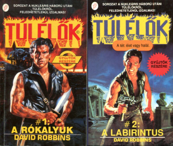 David Robbins - Túlélők 1-2 : A labirintus - A rókalyuk