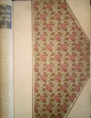 Grdonyi Gza - Tizenkt novella