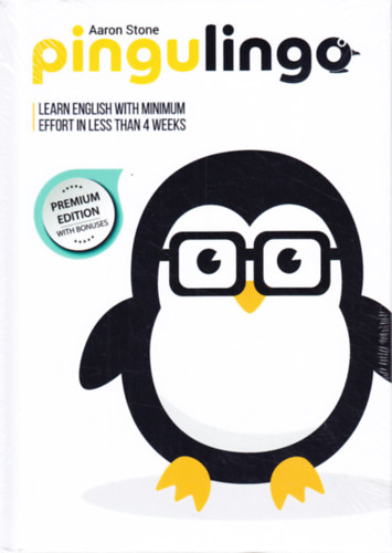 Aaron Stone - Pingulingo: Learn English with minimum effort in less than 4 weeks