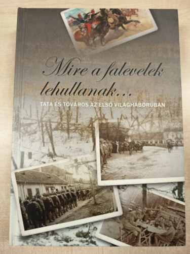 Kranzieritz Károly, Rabár Ferenc, Schmidtmayer Richárd, Stegmayer Máté Kövesdi Mónika - Mire a falevelek lehullanak...- Tata és Tóváros az első világháborúban