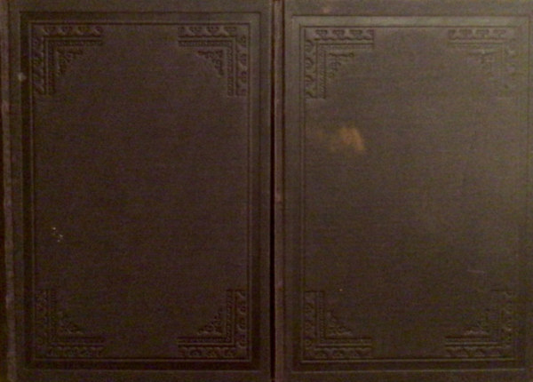 Szana Tam�s szerk. - Koszoru. A Pet�fi-T�rsas�g havi k�zl�nye VI. k�tet 1881.�vf.