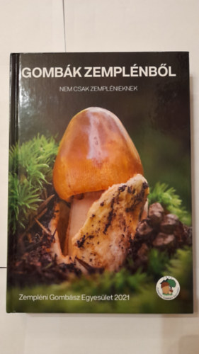G�czin� Nagy M�ria  Hegyessy G�bor - Gomb�k Zempl�nb�l nemcsak zempl�nieknek