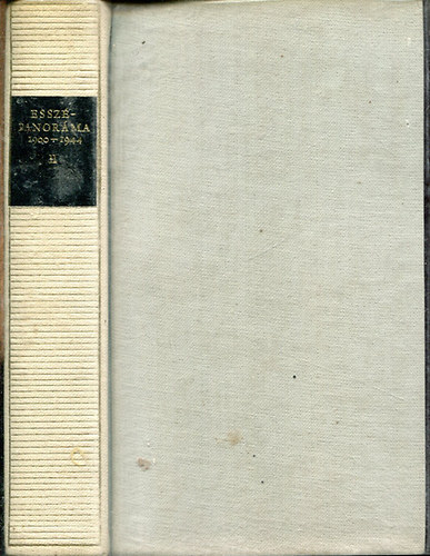 Illy�s Gyula - Essz�panor�ma II. (t�red�k) 1900-1944