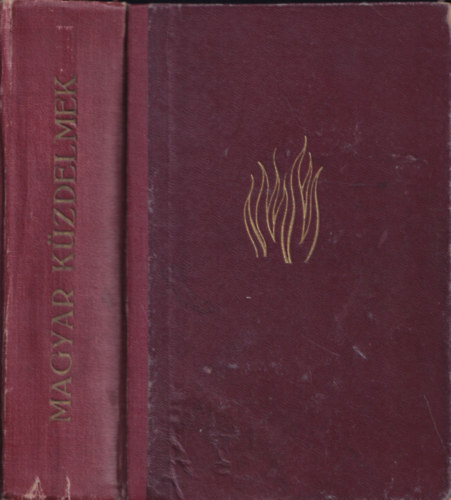 Takáts Sándor - Magyar küzdelmek