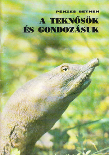 Pnzes Bethen - A teknsk s gondozsuk