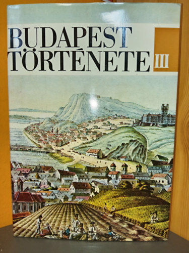 Bónis György Györffy György Nagy Lajos Kubinyi András Spira György Nagy Tibor Gerelyes Ede Fekete Lajos - Budapest története a török kiűzésétől a márciusi forradalomig (Budapest története III.)