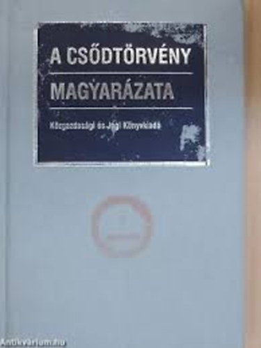 Cske Andrea  (szerk.) - A csdtrvny magyarzata