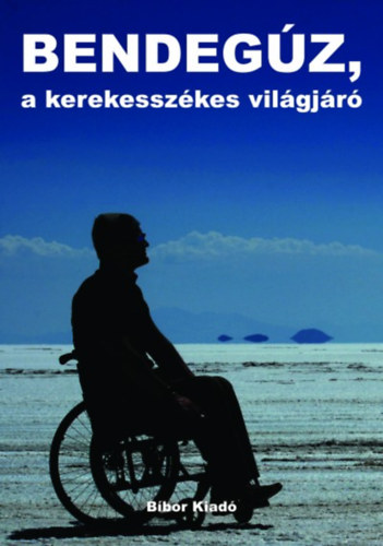 Nagy Bendegúz - Bendegúz, a kerekesszékes világjáró