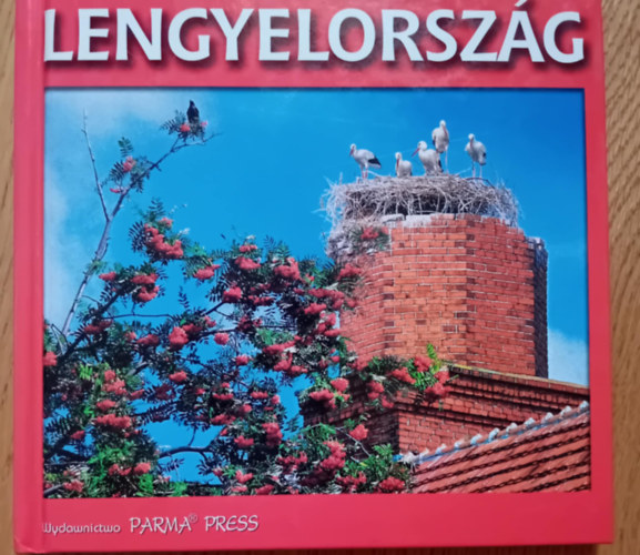 Bogna Parma - Lengyelorszg
