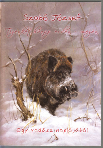 Szabó József - Tizenkét hónap erdőn-mezőn