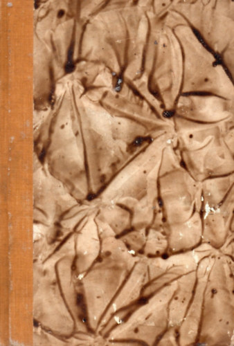 D. H. Lawrence - A tollas k�gy� II. k�tet